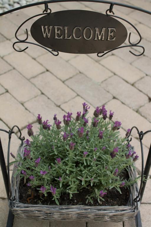 Silver Garden Сиофок Екстериор снимка